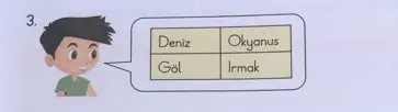 3. Sınıf Fen Bilimleri Ders Kitabı Sayfa 37 Cevapları CEM Yayınları
