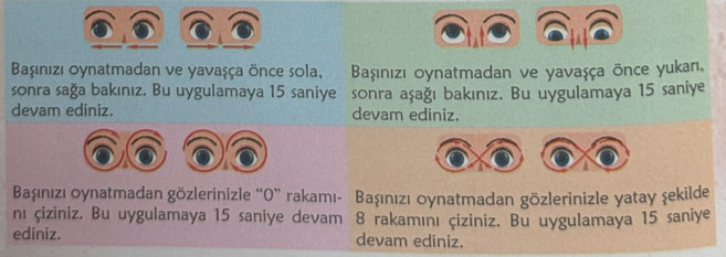 6. Sınıf Türkçe Ders Kitabı Sayfa 16 Cevapları Birinci Kitap