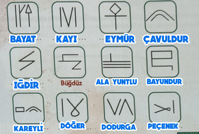 6. Sınıf Türkçe Ders Kitabı Sayfa 18-19 Cevapları Birinci Kitap