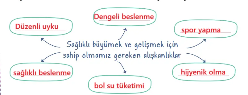 2. Sınıf Hayat Bilgisi Ders Kitabı Sayfa 48-49-52-53 Cevapları 1. Kitap 2 2. Sınıf Hayat Bilgisi Ders Kitabı Sayfa 48 Cevapları Birinci Kitap
