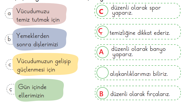 2. Sınıf Hayat Bilgisi Ders Kitabı Sayfa 53 Cevapları Birinci Kitap