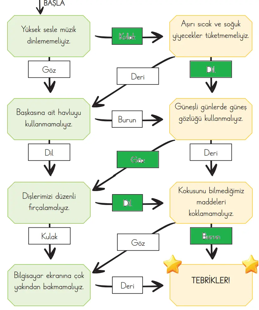 3. Sınıf Fen Bilimleri Ders Kitabı Sayfa 55-56-57-58-59. Cevapları CEM Yayınları