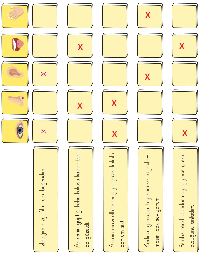 3. Sınıf Fen Bilimleri Ders Kitabı Sayfa 59 Cevapları CEM Yayınları