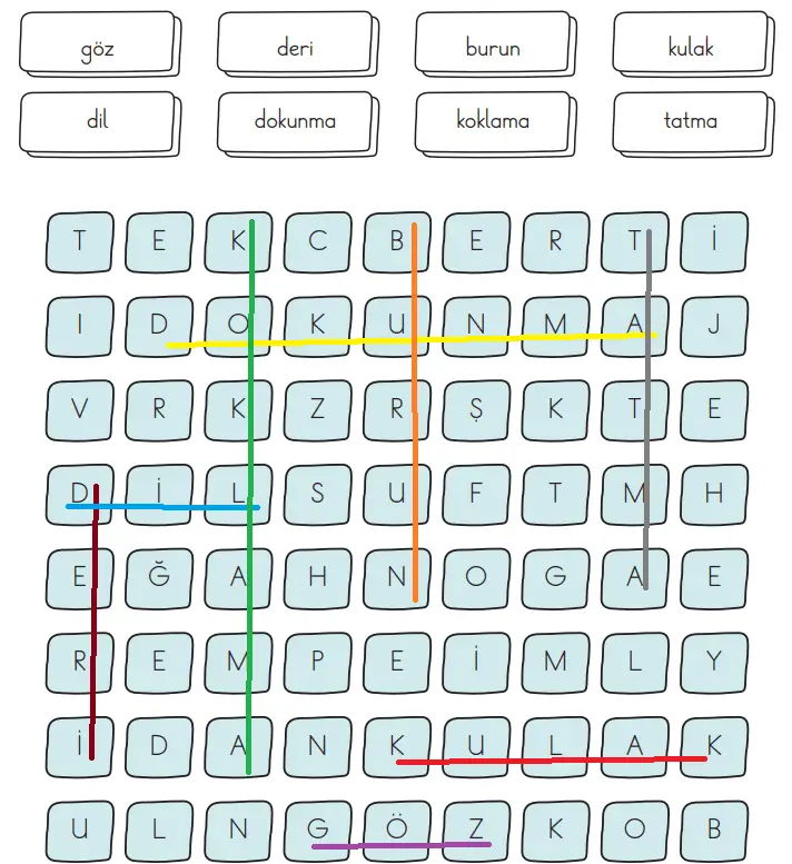 3. Sınıf Fen Bilimleri Ders Kitabı Sayfa 60-61-62-63-64-65. Cevapları CEM Yayınları 7 3. Sınıf Fen Bilimleri Ders Kitabı Sayfa 61 Cevapları CEM Yayınları