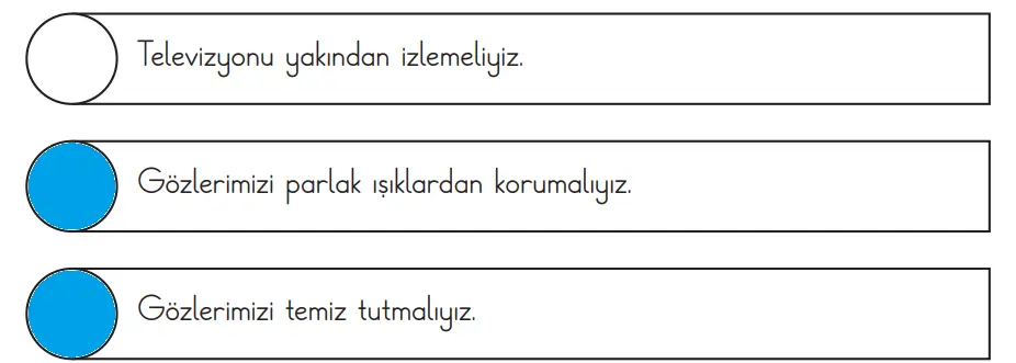 3. Sınıf Fen Bilimleri Ders Kitabı Sayfa 62 Cevapları CEM Yayınları