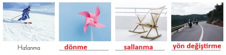 3. Sınıf Fen Bilimleri Ders Kitabı Sayfa 70-71-72-73-74-75. Cevapları CEM Yayınları