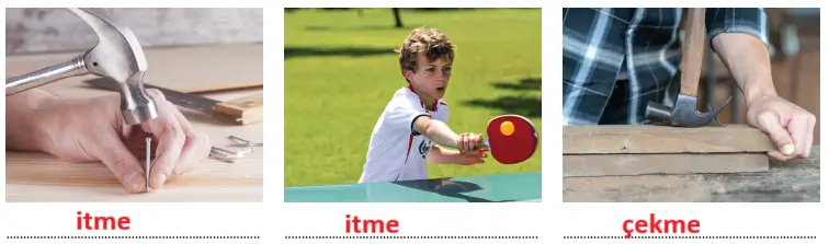 3. Sınıf Fen Bilimleri Ders Kitabı Sayfa 88. Cevapları CEM Yayınları