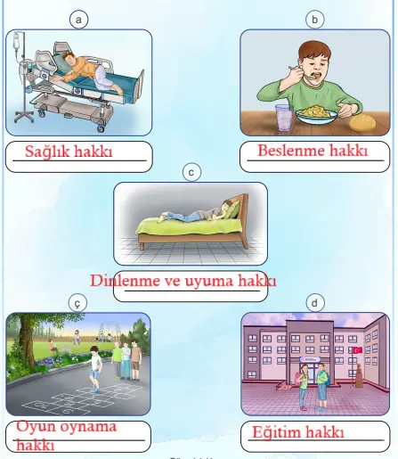 4. Sınıf İnsan Hakları Ders Kitabı Sayfa 23-24-25-26 Cevapları MEB Yayınları 5 4. Sınıf İnsan Hakları Ders Kitabı Sayfa 24. Cevapları