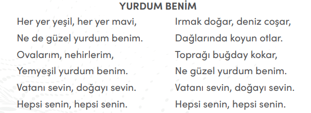 4. Sınıf Sosyal Bilgiler Ders Kitabı Sayfa 72 Cevapları MEB Yayınları