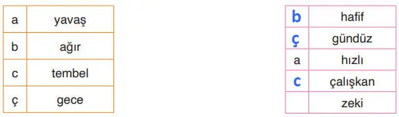 4. Sınıf Türkçe Ders Kitabı Sayfa 12-14-15-16-17-18 Cevapları ADA Yayınları 4 4. Sınıf Türkçe Ders Kitabı Sayfa 16 Cevapları Tuna Yayıncılık