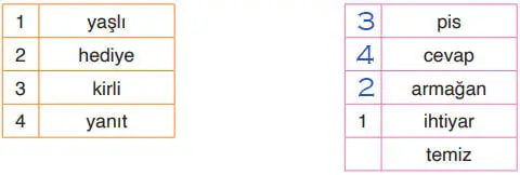 4. Sınıf Türkçe Ders Kitabı Sayfa 24 Cevapları ADA Yayınları