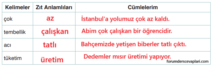 4. Sınıf Türkçe Ders Kitabı Sayfa 42 Cevapları ADA Yayınları