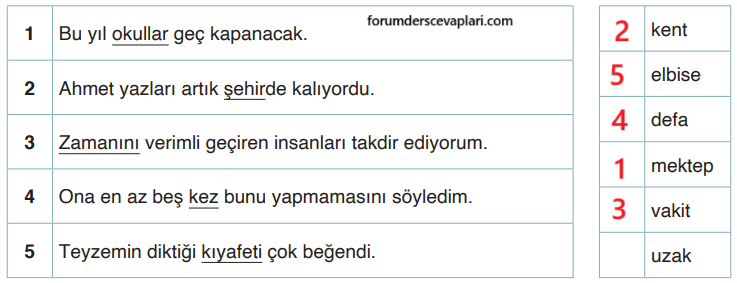 4. Sınıf Türkçe Ders Kitabı Sayfa 44 Cevapları ADA Yayınları