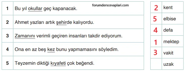 4. Sınıf Türkçe Ders Kitabı Sayfa 41-42-43-44. Cevapları ADA Yayınları 11 4. Sınıf Türkçe Ders Kitabı Sayfa 44 Cevapları ADA Yayınları