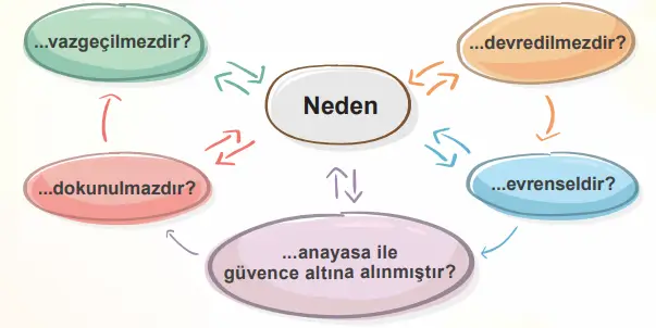 4. Sınıf İnsan Hakları Ders Kitabı Sayfa 17. Cevapları