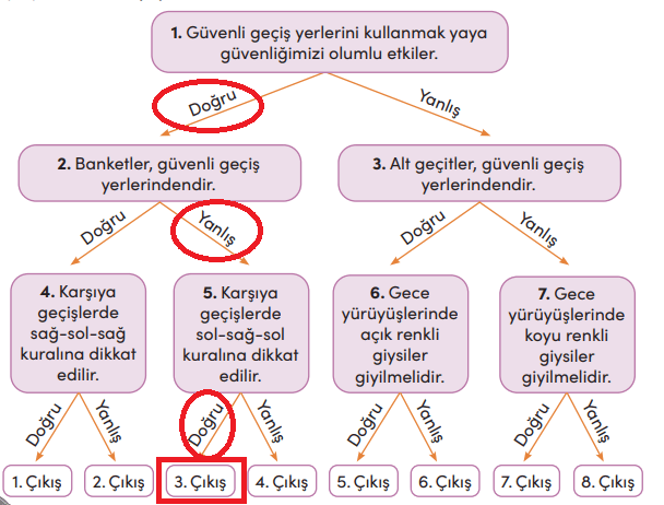 4. Sınıf Trafik Güvenliği Ders Kitabı Sayfa 24 Cevapları