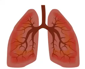 5. Sınıf Din Kültürü Ders Kitabı Sayfa 14-16-17-18-19 Cevapları MEB Yayınları 1 5. Sınıf Din Kültürü Ders Kitabı Sayfa 14 Cevapları