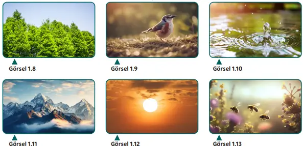 5. Sınıf Din Kültürü Ders Kitabı Sayfa 14-16-17-18-19 Cevapları MEB Yayınları 2 5. Sınıf Din Kültürü Ders Kitabı Sayfa 17 Cevapları