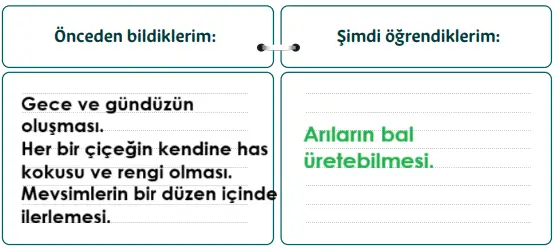 5. Sınıf Din Kültürü Ders Kitabı Sayfa 20-21-22-24 Cevapları MEB Yayınları 2 5. Sınıf Din Kültürü Ders Kitabı Sayfa 22 Cevapları