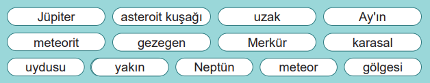 6. Sınıf Fen Bilimleri Ders Kitabı Sayfa 39-40-41 Cevapları 1. Kitap
