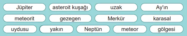 6. Sınıf Fen Bilimleri Ders Kitabı Sayfa 39-40-41 Cevapları 1. Kitap
