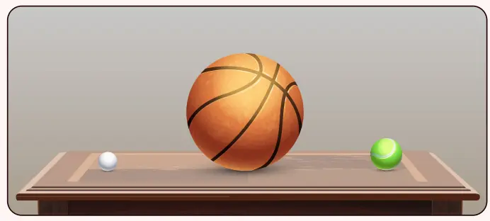 6. Sınıf Fen Bilimleri Ders Kitabı Sayfa 39-40-41 Cevapları 1. Kitap 12 6. Sınıf Fen Bilimleri Ders Kitabı Sayfa 40 Cevapları Birinci Kitap3