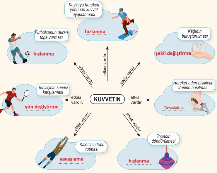 6. Sınıf Fen Bilimleri Ders Kitabı Sayfa 44. Cevapları 1. Kitap
