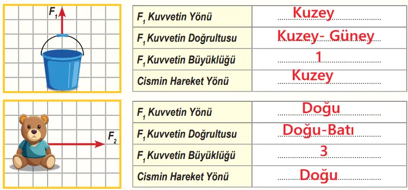 6. Sınıf Fen Bilimleri Ders Kitabı Sayfa 48 Cevapları Birinci Kitap