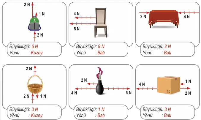 6. Sınıf Fen Bilimleri Ders Kitabı Sayfa 52 Cevapları Birinci Kitap