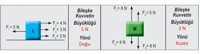 6. Sınıf Fen Bilimleri Ders Kitabı Sayfa 61 Cevapları Birinci Kitap