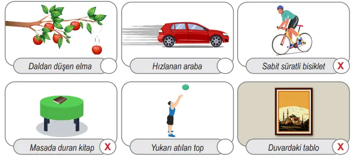 6. Sınıf Fen Bilimleri Ders Kitabı Sayfa 61 Cevapları Birinci Kitap