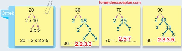 6. Sınıf Matematik Ders Kitabı Sayfa 43 Cevapları Birinci Kitap