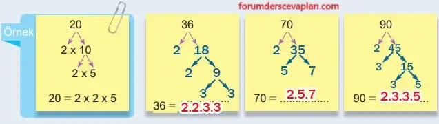 6. Sınıf Matematik Ders Kitabı Sayfa 43 Cevapları Birinci Kitap