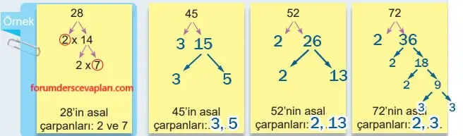 6. Sınıf Matematik Ders Kitabı Sayfa 43-44-45-46-47. Cevapları 1. Kitap