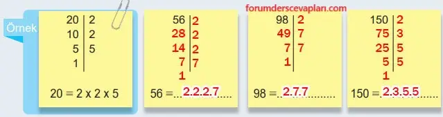 6. Sınıf Matematik Ders Kitabı Sayfa 44 Cevapları Birinci Kitap
