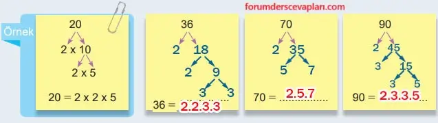 6. Sınıf Matematik Ders Kitabı Sayfa 44 Cevapları Birinci Kitap