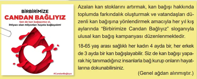 6. Sınıf Matematik Ders Kitabı Sayfa 49-50-51. Cevapları 1. Kitap