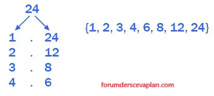 6. Sınıf Matematik Ders Kitabı Sayfa 52 Cevapları Birinci Kitap