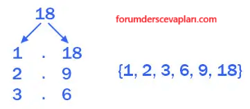 6. Sınıf Matematik Ders Kitabı Sayfa 52 Cevapları Birinci Kitap