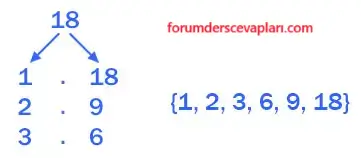 6. Sınıf Matematik Ders Kitabı Sayfa 52 Cevapları Birinci Kitap