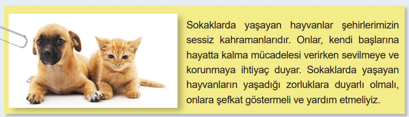 6. Sınıf Matematik Ders Kitabı Sayfa 52-53-54-55. Cevapları 1. Kitap