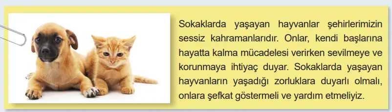 6. Sınıf Matematik Ders Kitabı Sayfa 52-53-54-55. Cevapları 1. Kitap