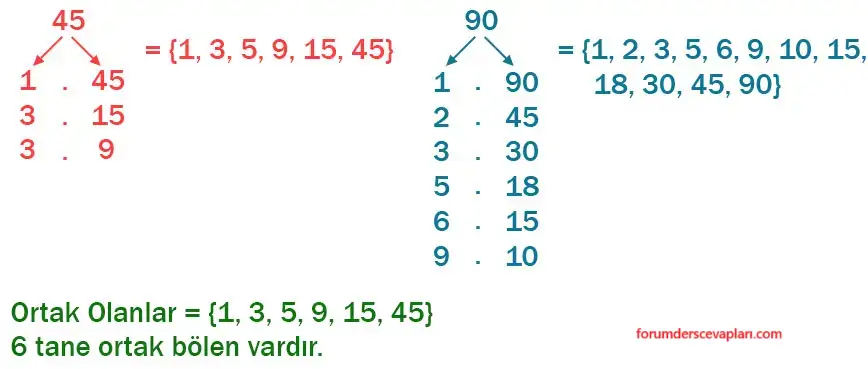 6. Sınıf Matematik Ders Kitabı Sayfa 53 Cevapları Birinci Kitap