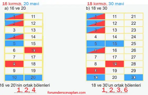 6. Sınıf Matematik Ders Kitabı Sayfa 53 Cevapları Birinci Kitap