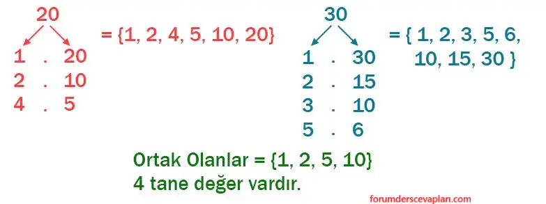 6. Sınıf Matematik Ders Kitabı Sayfa 54 Cevapları Birinci Kitap
