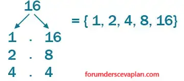 6. Sınıf Matematik Ders Kitabı Sayfa 54 Cevapları Birinci Kitap