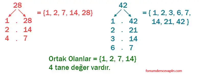 6. Sınıf Matematik Ders Kitabı Sayfa 54 Cevapları Birinci Kitap