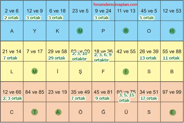 6. Sınıf Matematik Ders Kitabı Sayfa 55 Cevapları Birinci Kitap