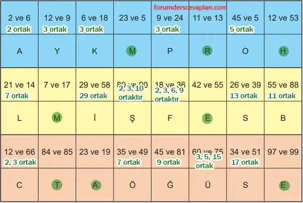 6. Sınıf Matematik Ders Kitabı Sayfa 55 Cevapları Birinci Kitap