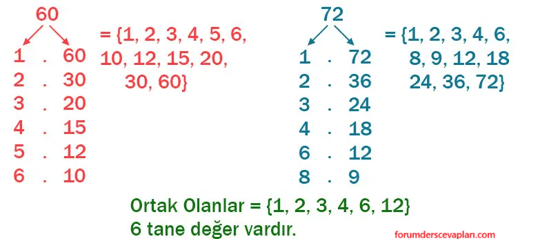 6. Sınıf Matematik Ders Kitabı Sayfa 56 Cevapları Birinci Kitap